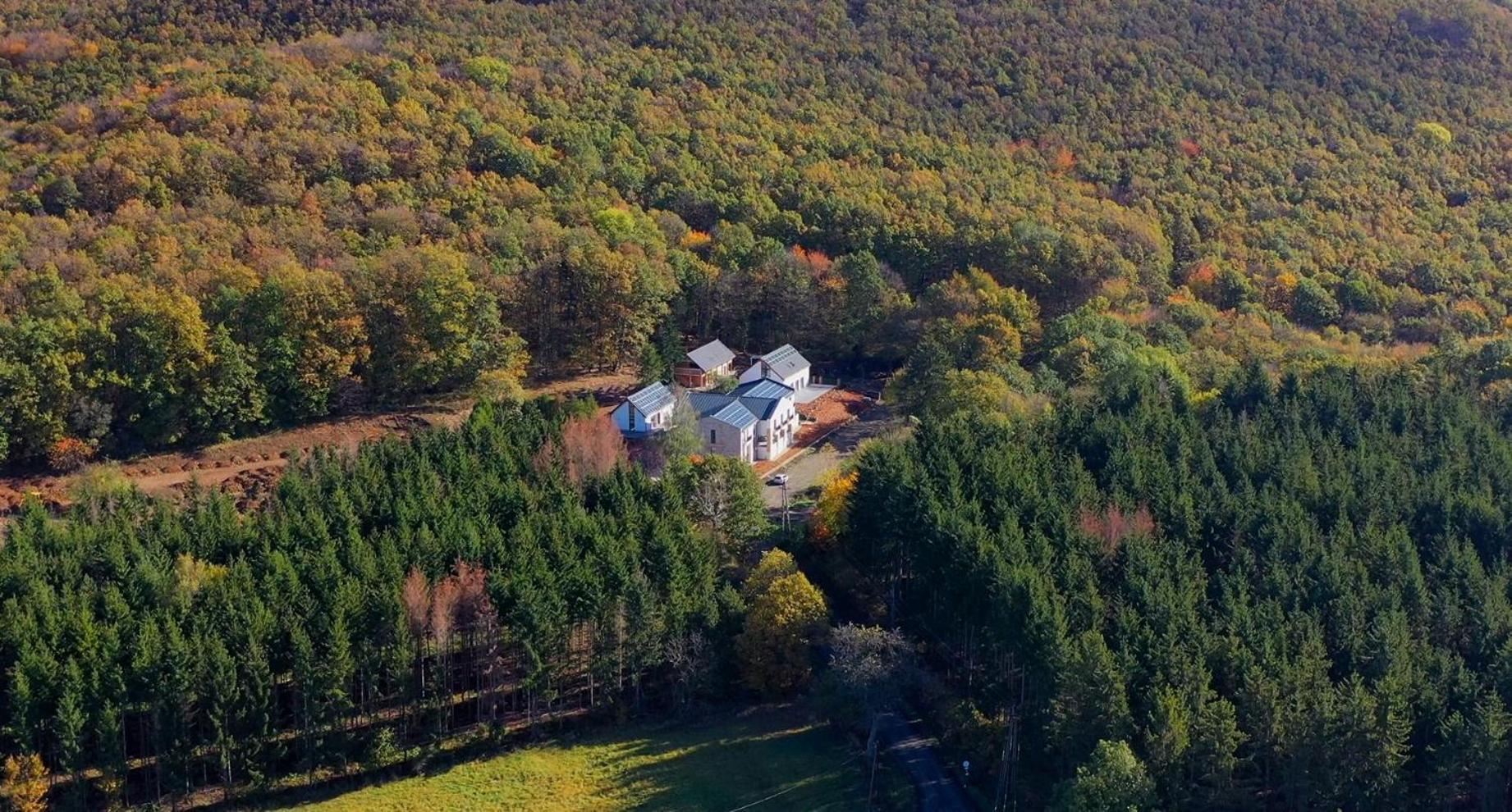 Hotel Szent Orban Erdei Wellness Es 4*
